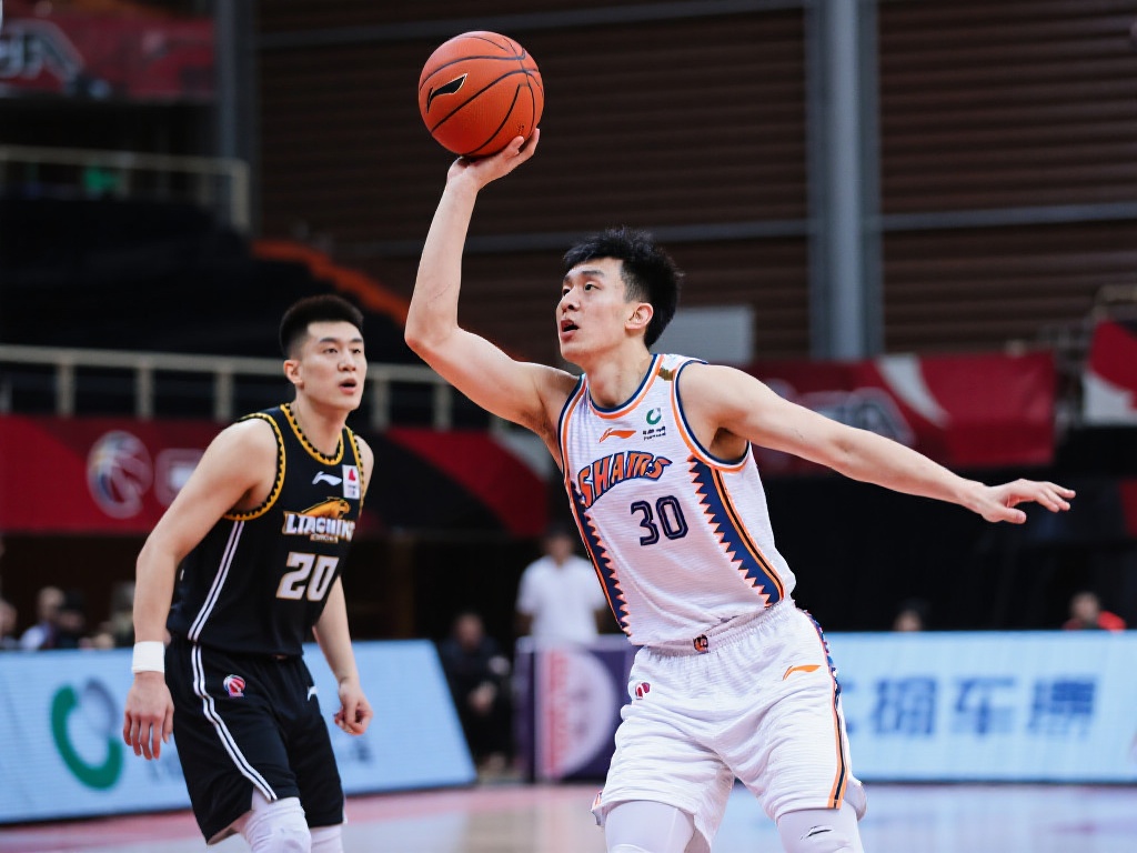 我在球场上 我在球场上